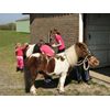 Pony Doe Dag bij Dapperstal in Sint Maartensbrug