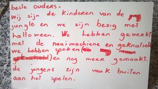 tekstje bso
