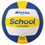 school volleybal