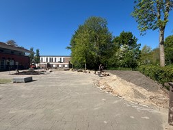 IMG_6350