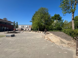 IMG_6350