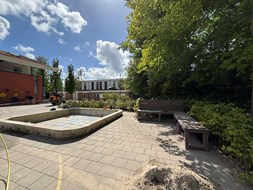 IMG_6595