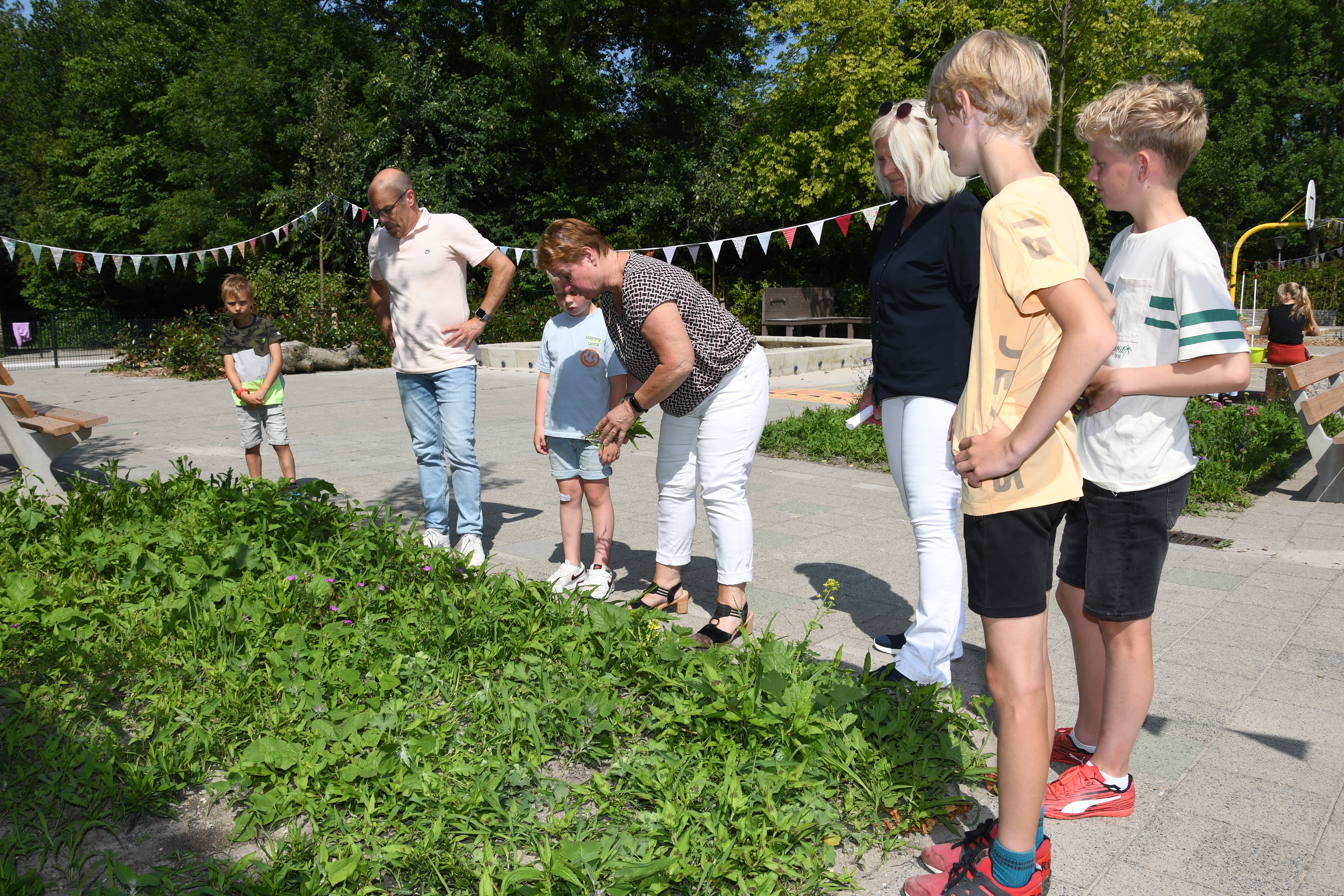 Bericht van de directie: 28-6-2025